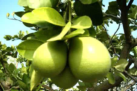 开云游戏平台案例展示一