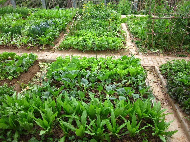 开云游戏平台案例展示五